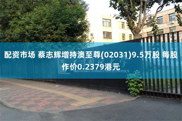配资市场 蔡志辉增持澳至尊(02031)9.5万股 每股作价0.2379港元