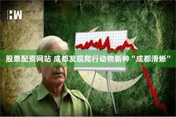股票配资网站 成都发现爬行动物新种“成都滑蜥”
