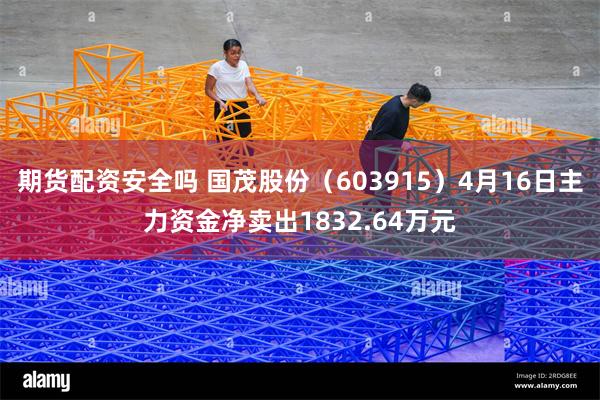 期货配资安全吗 国茂股份（603915）4月16日主力资金净卖出1832.64万元