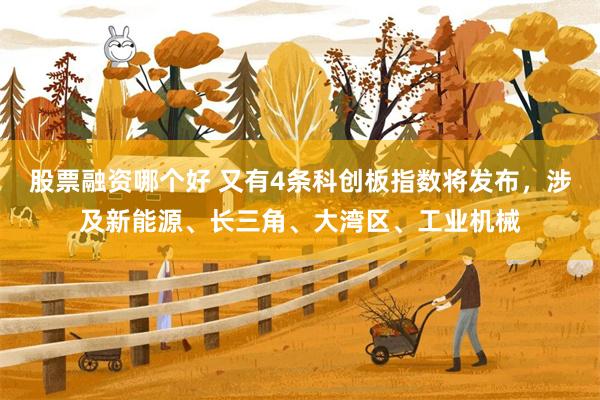股票融资哪个好 又有4条科创板指数将发布，涉及新能源、长三角、大湾区、工业机械