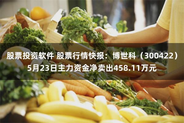 股票投资软件 股票行情快报：博世科（300422）5月23日主力资金净卖出458.11万元