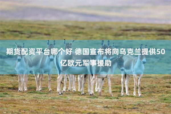 期货配资平台哪个好 德国宣布将向乌克兰提供50亿欧元军事援助