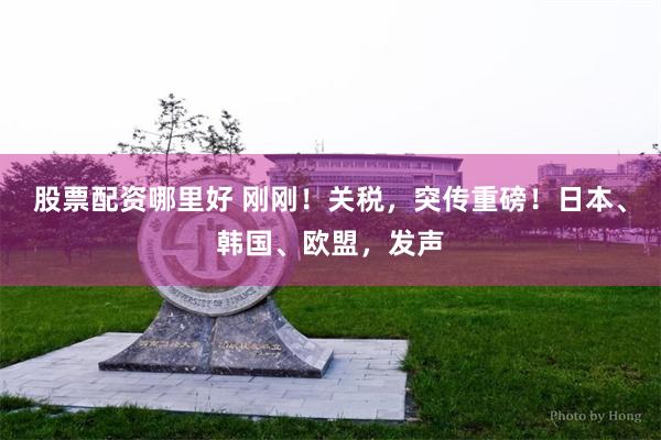 股票配资哪里好 刚刚！关税，突传重磅！日本、韩国、欧盟，发声